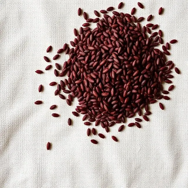 Ragi